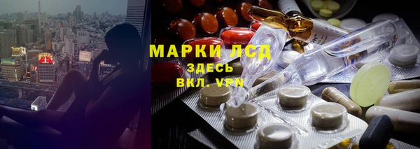 PSILOCYBIN Белокуриха
