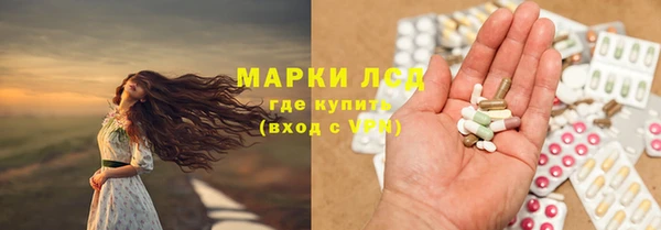 эйфоретик Баксан