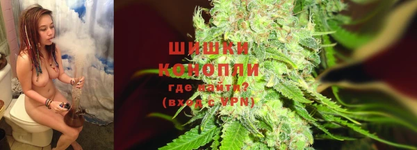 PSILOCYBIN Белокуриха