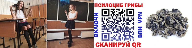 Галлюциногенные грибы мицелий  Купить  Нюрба 