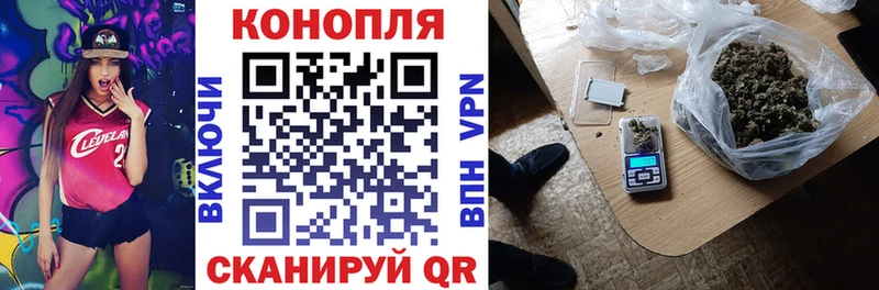 Шишки марихуана сатива  Купить  Нюрба 